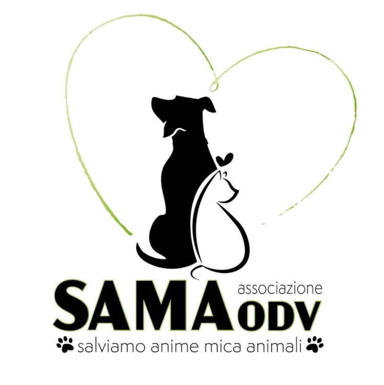 La missione delle volontarie: «Insieme per salvare gli animali»