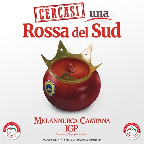 Festa della Melannurca Campana IGP al Real Sito di Carditello, sarà premiata la Rossa del Sud
