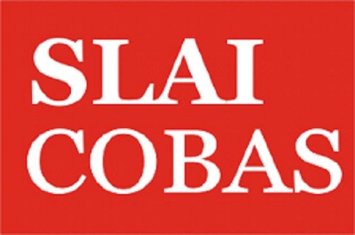 Slai Cobas proclama sciopero alla Denso venerdì 22 luglio