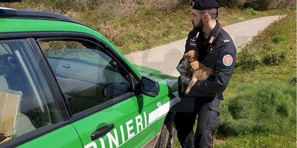 Due cinofili sanzionati dai carabinieri forestali