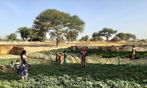 Sostenibilità: una sfida per il cambiamento agroecologico con il progetto CHAlleNGE